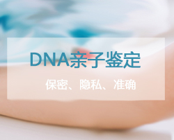 昆明什么医院能办理DNA鉴定，昆明医院办理亲子鉴定办理流程指南