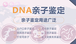 昆明司法亲子鉴定哪里做，昆明司法DNA亲子鉴定详细流程