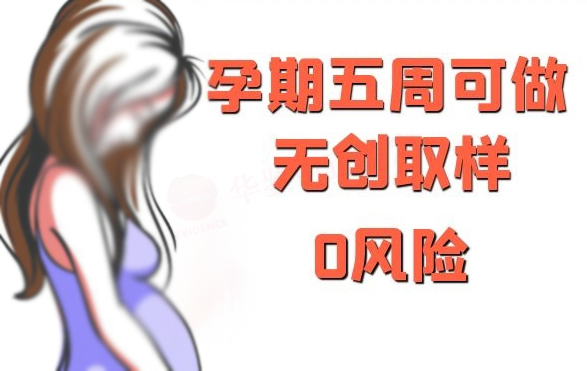 昆明怀孕五周需要怎么做无创孕期亲子鉴定,昆明办理无创孕期亲子鉴定费用是多少