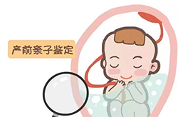 昆明怀孕怎么做亲子鉴定，昆明怀孕做亲子鉴定流程