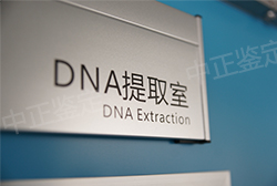 昆明血缘检测哪里办理，昆明做亲子鉴定价格收费